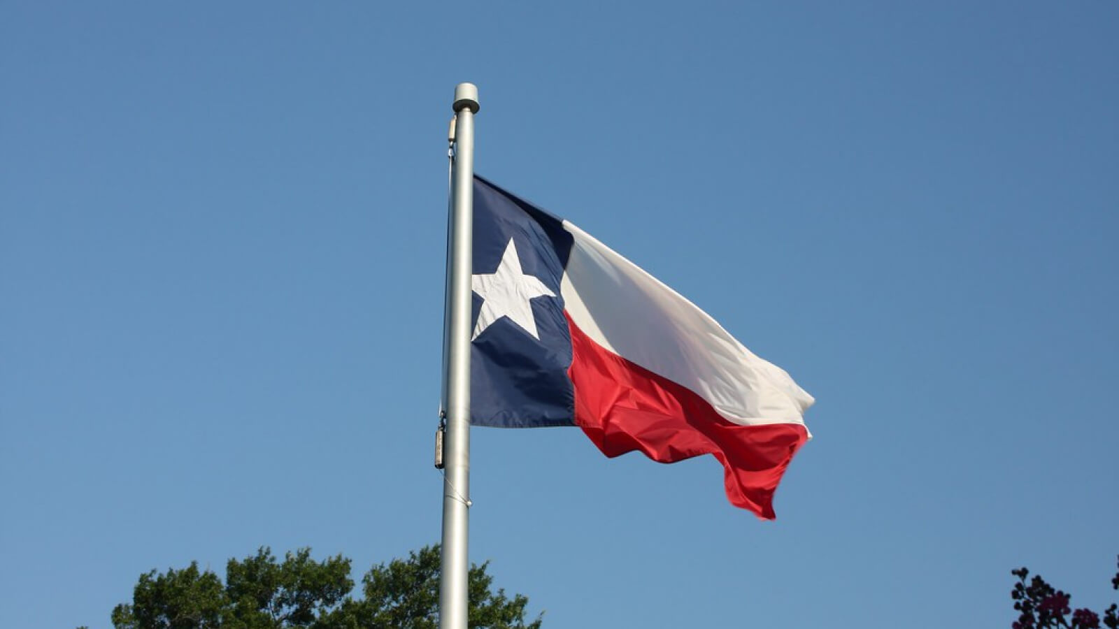 How to File Sales Tax in Texas A StepByStep Guide (2024) — Numeral